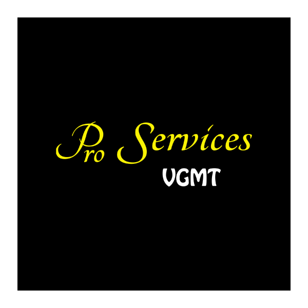 Logo Pro Services agence de communication réseaux sociaux Chambéry