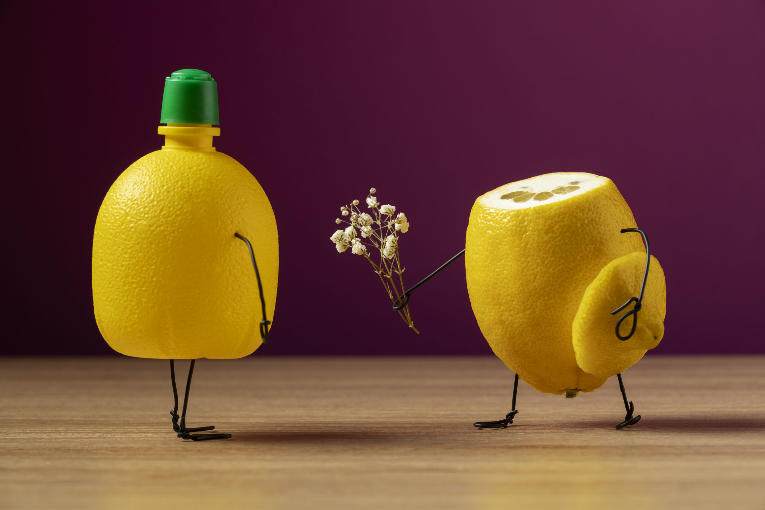 animated-lemon-juice-bottle-still-life (1)