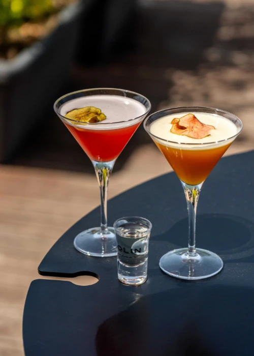 Golden-reseau-shooting-brasserie-aquarium3