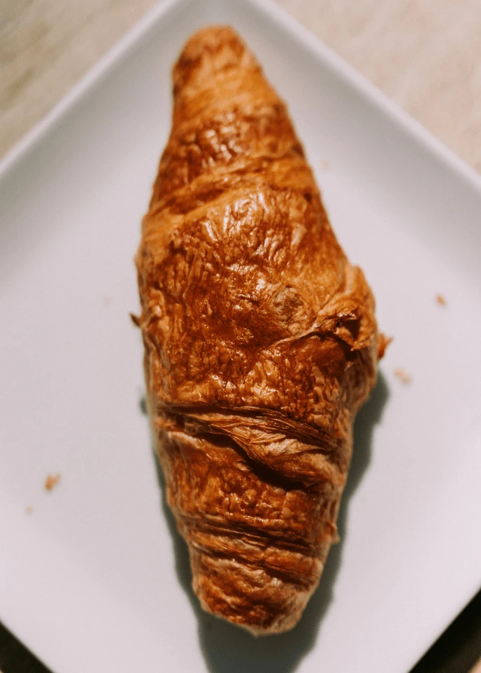 Golden-reseau-shooting-photo-le-petit-gateau2