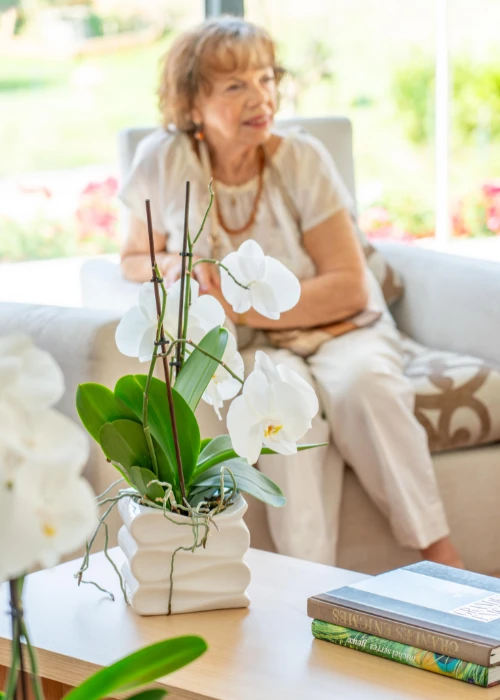 Golden-reseau-shooting-photo-les-jardins-de-lamartine2