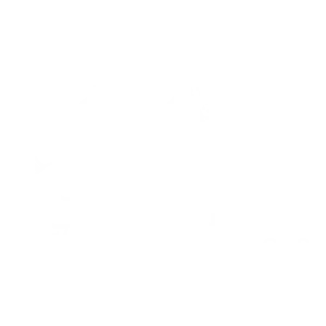 logo-net-services-nettoyage-chambery