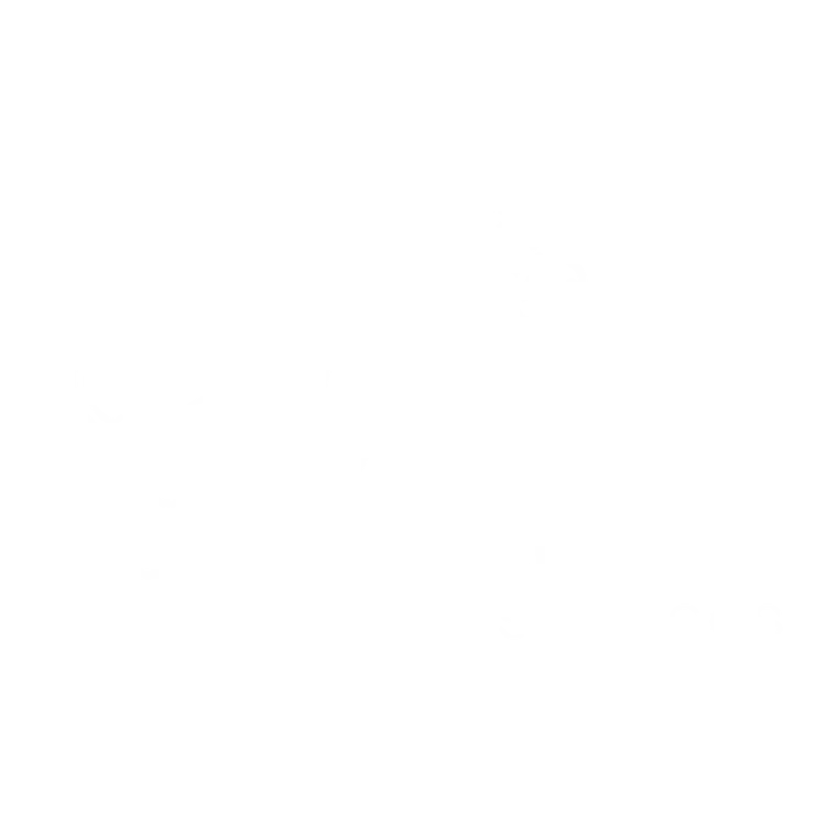 Net Services