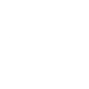 logo-reffet-industrie-saint-avre